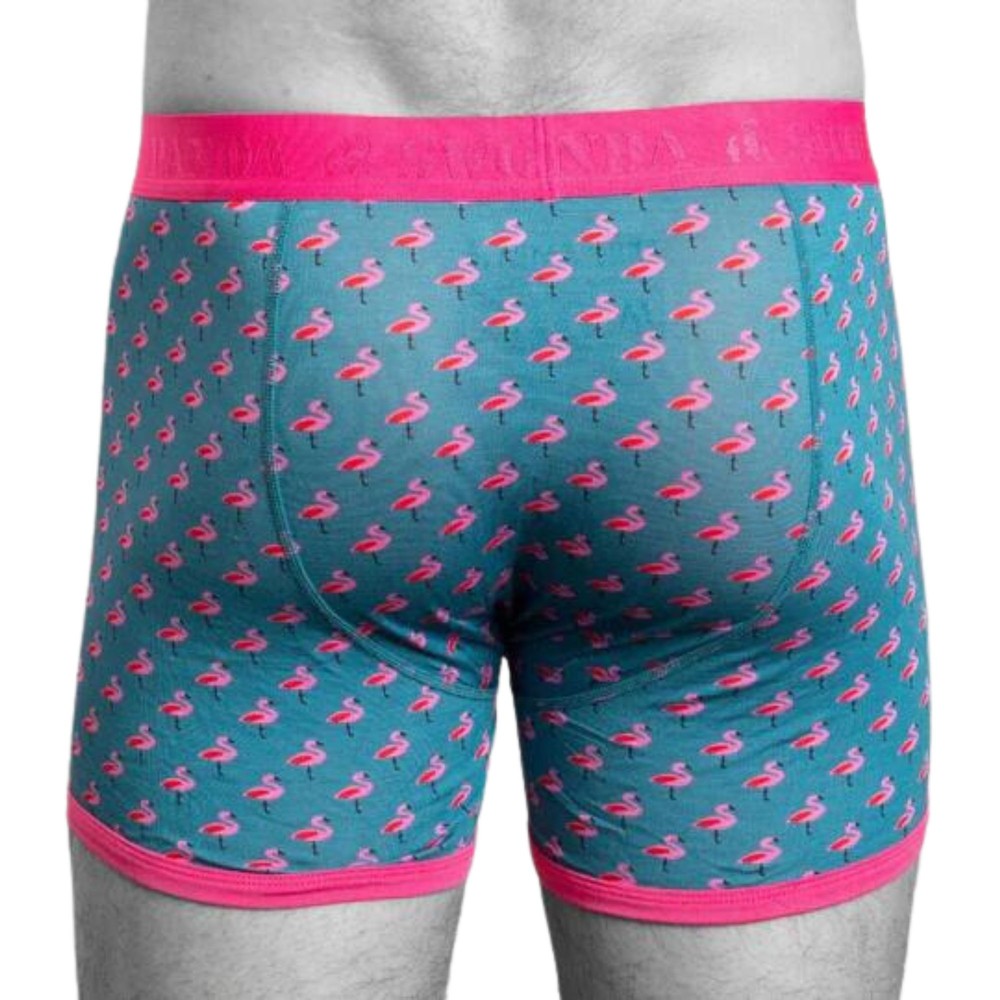 Flamingo Bamboo Boxers Pink Band