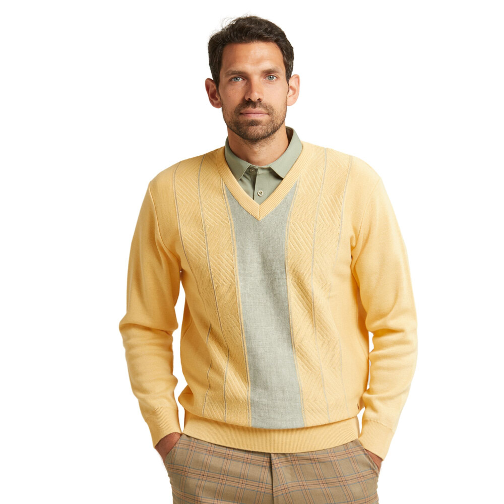 Long Sleeve Pattern Front V Neck Jumper Sunbeam