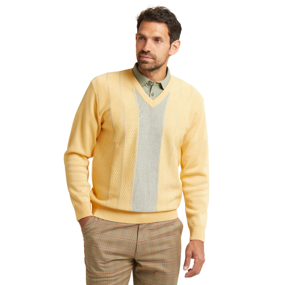 Long Sleeve Pattern Front V Neck Jumper Sunbeam