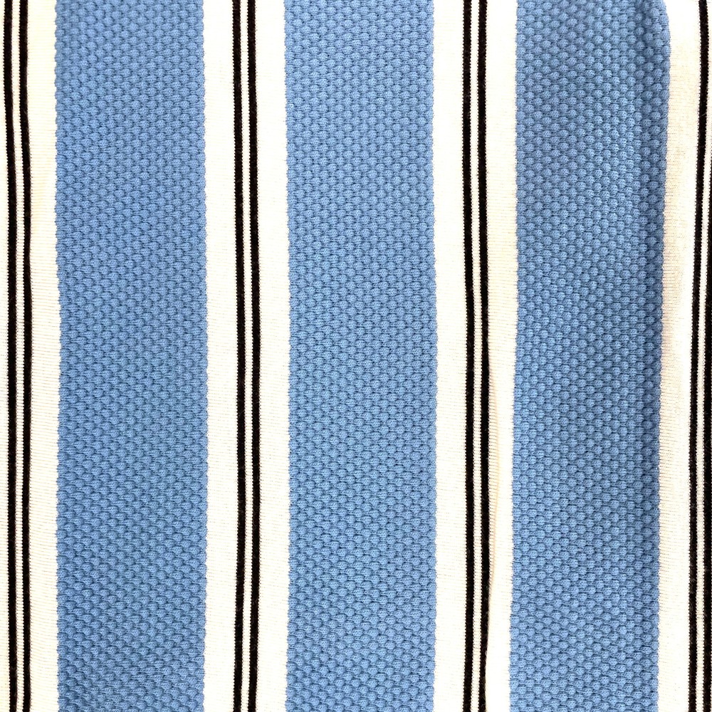 Vertical Stripe Polo Sky