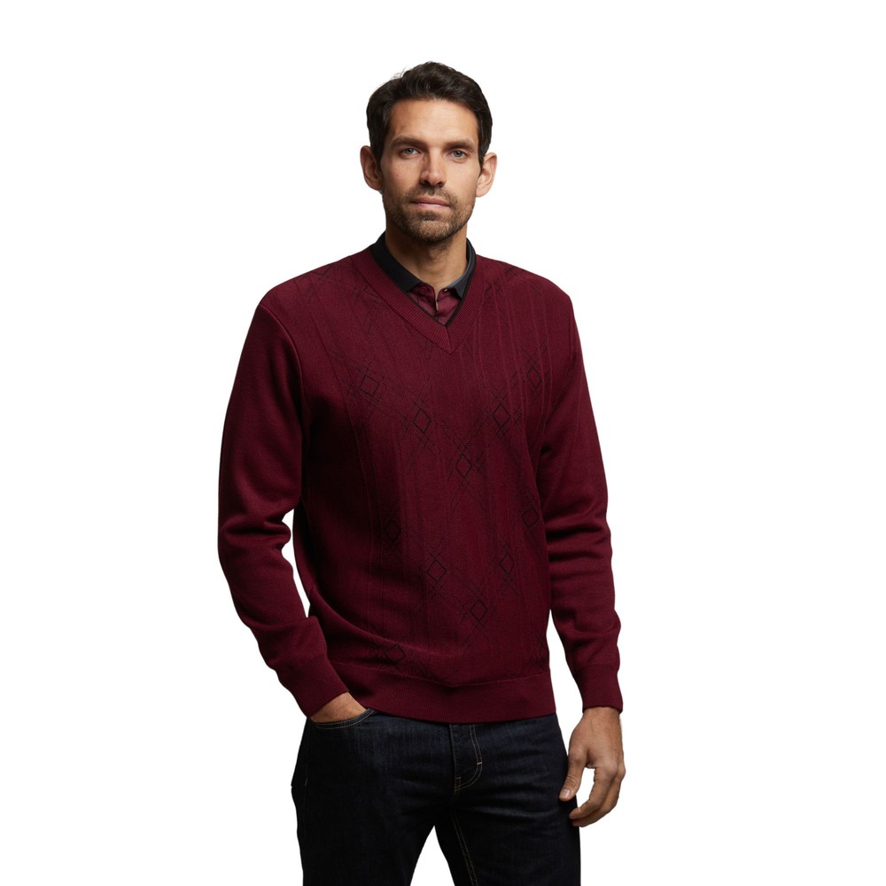 Long Sleeve Pattern Front V Neck Jumper Berry